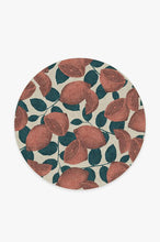 Load image into Gallery viewer, Lemonade Rose Rug
