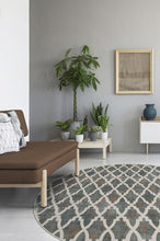 Load image into Gallery viewer, Soraya Trellis Multicolor Rug
